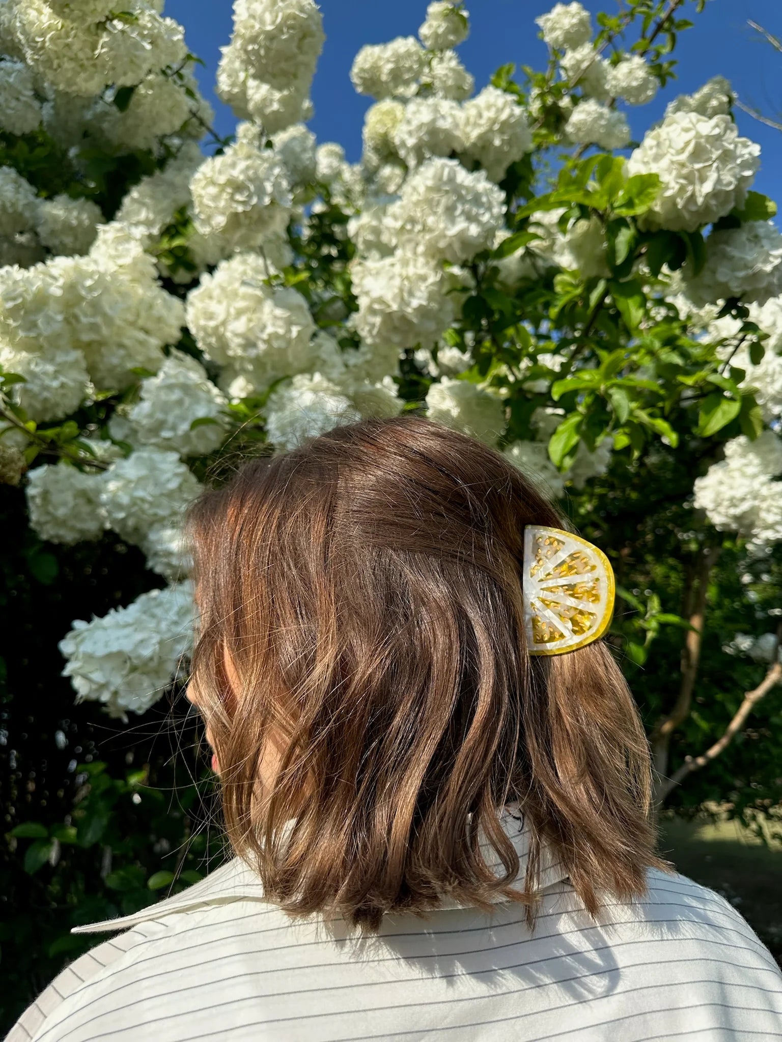 Hand-Painted Citrus Slice Fruit Claw Hair Clip | Eco-Friendly Lime