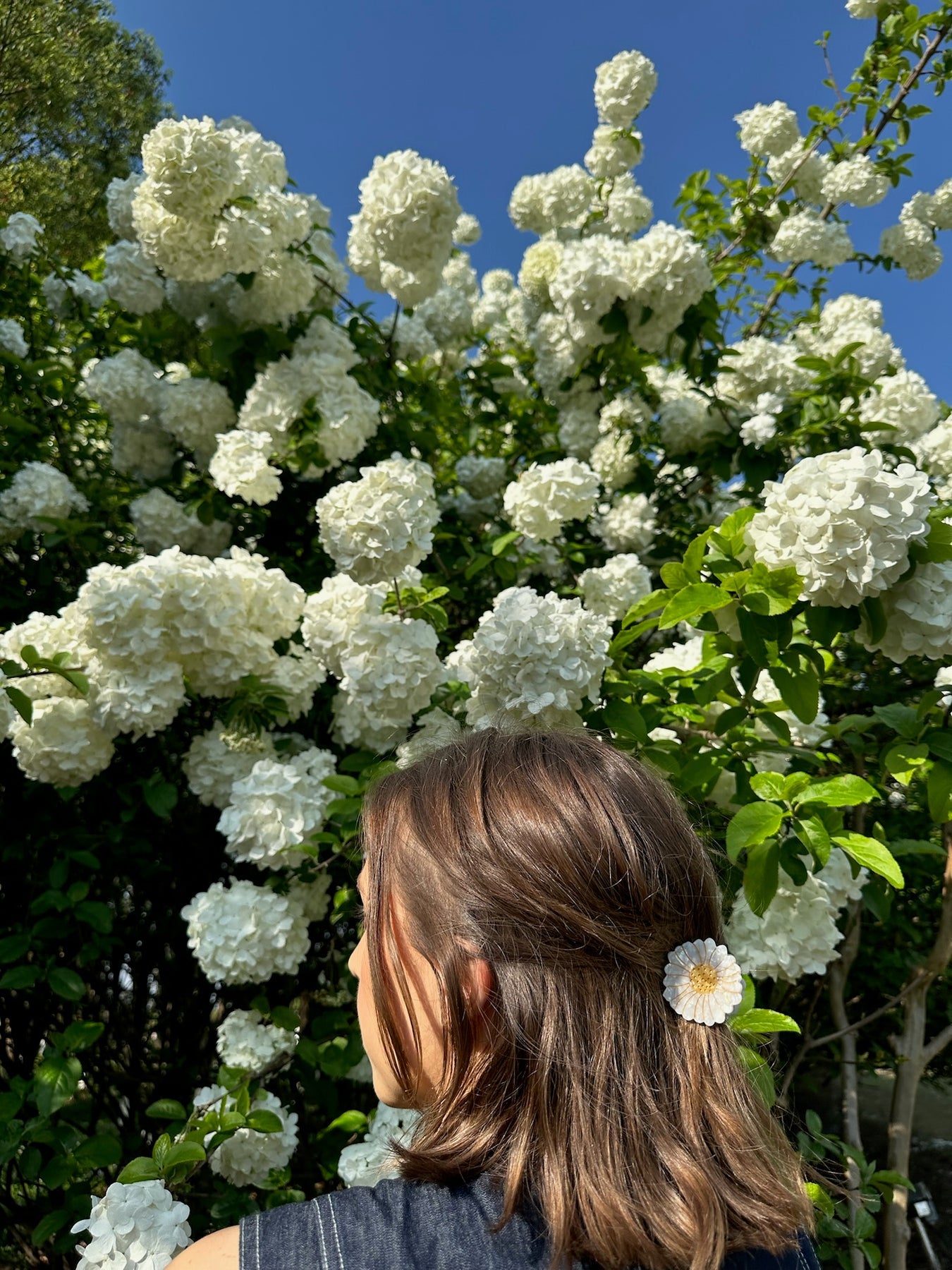 Hand-painted Mini Daisy Claw Hair Clip | Eco-Friendly