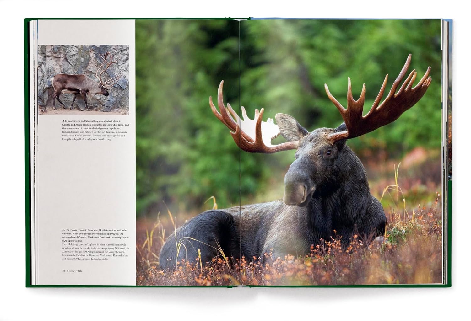 Hunting-The Ultimate Book by Sascha NumBen